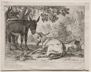 Osły. autorstwa Herman van Swanevelt