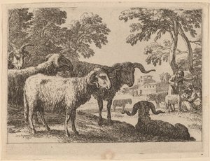 Rams autorstwa Herman van Swanevelt