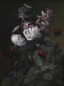 autorstwa Hermania Sigvardine Neergaard