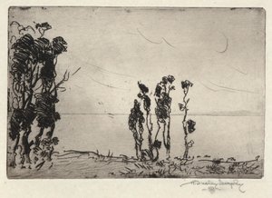 Krajobraz brzegowy autorstwa Hermann Dudley Murphy