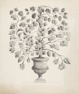 Drzewo genealogiczne Domu Orange-Nassau autorstwa Hermanus Johannes Abbring