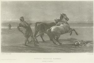 Ulisses udaje szaleństwo (wklęsłodruk)