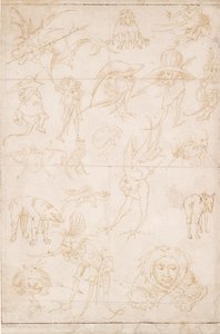 Studia groteskowe, ok. 1500-1520 autorstwa Hieronymus Bosch