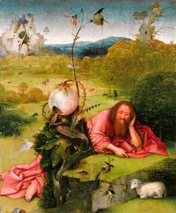Święty Jan Chrzciciel na pustyni, koniec XV wieku. autorstwa Hieronymus Bosch