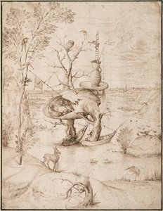 Człowiek z drzewa, ok. 1900 1505 (tusz brązowy na papierze) autorstwa Hieronymus Bosch