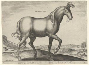 Koń z Armenii (Armenius) Ormianie (tytuł na obiekcie) Rasy koni z Królewskich Stajni Don Juana Austrii (tytuł serii) Equile Ioannis Austriaci Caroli (tytuł serii)