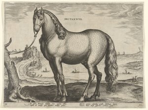 Koń z Bretanii (Brittanus) Britannvs (tytuł na obiekcie) Rasy koni z Królewskich Stajni Don Juana Austrii (tytuł serii) Equile Ioannis Austriaci Caroli (tytuł serii) autorstwa Hieronymus Wierix