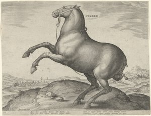 Koń ze Scytii Cimber (tytuł na obiekcie) Rasy koni z Królewskich Stajni Don Juana Austrii (tytuł serii) Equile Ioannis Austriaci Caroli (tytuł serii) autorstwa Hieronymus Wierix