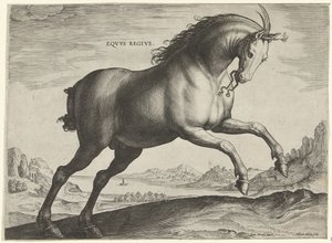 Koń rasy Equus Regius (królewski) Eqvvs Regivs (tytuł na obiekcie) Rasy koni z Królewskich Stajni Don Juana Austrii (tytuł serii) Equile Ioannis Austriaci Caroli (tytuł serii)