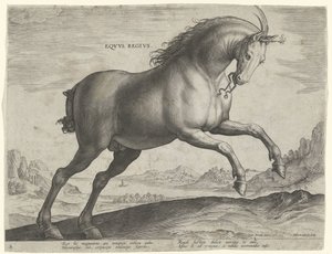 Koń rasy Equus Regius (królewski) Eqvvs Regivs (tytuł na obiekcie) Rasy koni z Królewskich Stajni Don Juana Austrii (tytuł serii) Equile Ioannis Austriaci Caroli (tytuł serii) autorstwa Hieronymus Wierix
