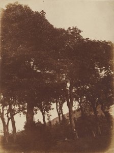 [Pole w Bonaly] autorstwa Hill and Adamson