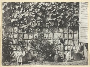 La Treille autorstwa Hippolyte Bayard