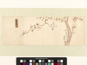 Kwitnąca wiśnia autorstwa Hiroshige (I) , Utagawa (attributed to)