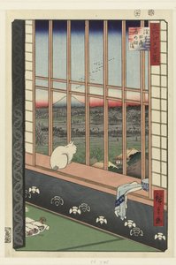 Pola ryżowe Asakusa i festiwal Torinomachi autorstwa Hiroshige (I) , Utagawa