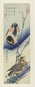 Kaczki w pobliżu trzcin autorstwa Hiroshige (I) , Utagawa