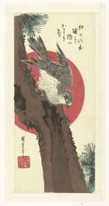 Jastrząb na sośnie autorstwa Hiroshige (I) , Utagawa