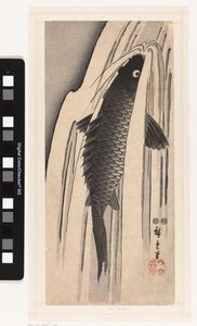 Karp pływający pod wodospadem autorstwa Hiroshige (I) , Utagawa
