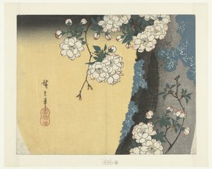 Omszały pień i kwiaty wiśni autorstwa Hiroshige (I) , Utagawa