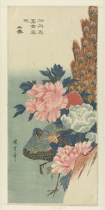Paw i piwonie autorstwa Hiroshige (I) , Utagawa