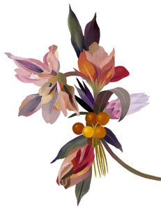 Wyimaginowany kwiat na bazie tulipana. autorstwa Hiroyuki Izutsu