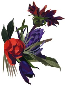Tulipany i dalie.