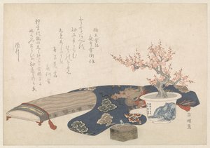 Martwa natura z koto