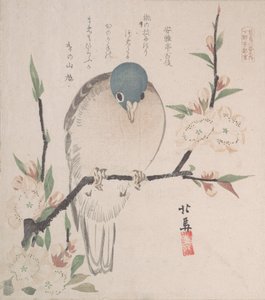 Kolekcja wiosennego deszczu Harusame shu, obj. 3: gołąb górski i kwiaty brzoskwini 1820 r., ok. 1820 r. 1820.