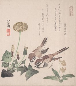 Kolekcja wiosennego deszczu Harusame shu, obj. 3: Wróble i Mlecze, ca. 1820 r., ok. 1820 r. 1820.