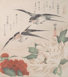 Kolekcja wiosennego deszczu Harusame shu, obj. 3: Jaskółki i piwonie, ca. 1820 r., ok. 1820 r. 1820.
