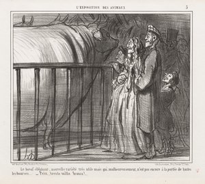 Ekspozycja Zwierząt : Pl. 5, Krowa-Słoń, Nowa Odmiana.... autorstwa Honoré Daumier