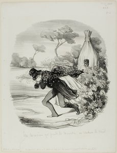Dżentelmen, który chciał zbyt dokładnie zbadać zwyczaje pszczół, płyta 6 z Pastorales autorstwa Honoré Victorin Daumier