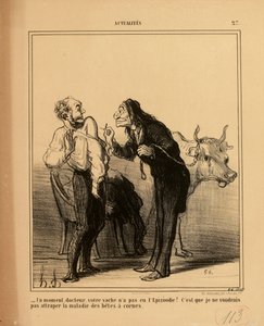 Aktualitäten Nr. 27: - Einen Moment, Doktor, hatte Ihre Kuh die Epizootie nicht?