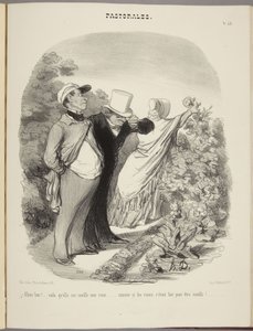 No proszę!... zrywa mi różę... jakby róże były po to, by je zrywać!... autorstwa Honoré Daumier