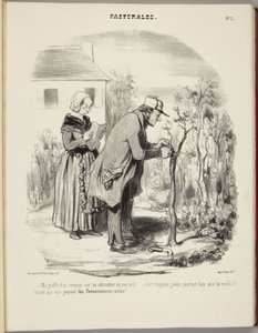 Mój szczep wiśni na moreli nie przyjął się... autorstwa Honoré Daumier