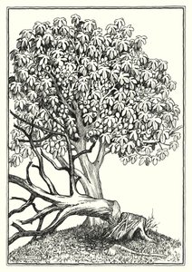Ilustracja do Kazania na górze (grawerunek)