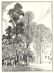 Miesiące (litografia) autorstwa Horace J. Knowles