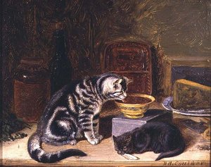 Dwa koty autorstwa Horatio Henry Couldery