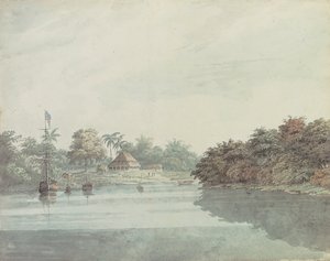 Papużka falista gubernatora generalnego nad Gangesem, Delta Brahmaputry autorstwa Hubert Cornish