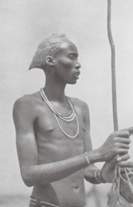 Dinka-Neger (zdjęcie czarno-białe) autorstwa Hugo Adolf Bernatzik
