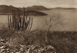 Meksyk: w pobliżu wybrzeża Baja California (zdjęcie czarno-białe) autorstwa Hugo Brehme