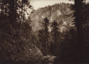 Meksyk: La Canada, Contreras, DF (zdjęcie czarno-białe)