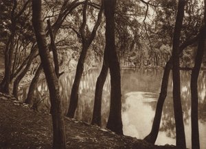 Meksyk: Las fuentes de Tlalpam D F (zdjęcie czarno-białe) autorstwa Hugo Brehme