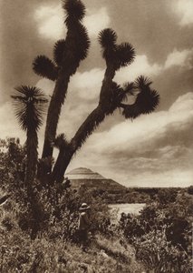 Meksyk: San Juan Teotihuacan, Piramide del Sol (zdjęcie czarno-białe) autorstwa Hugo Brehme