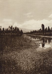 Meksyk: Xochimilco, jeden z głównych kanałów (zdjęcie czarno-białe)