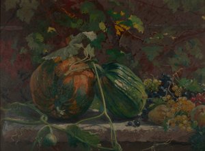 martwa natura