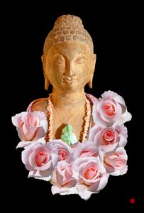 BUDDA autorstwa Hugo Nefe