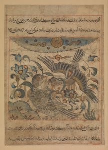 Para orłów, Folio z Manafi