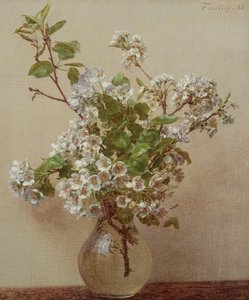 Kwiat gruszy, 1882