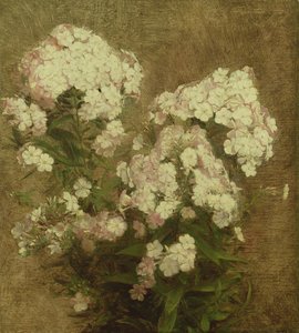 Phlox, 1870 autorstwa Ignace Henri Jean Fantin Latour