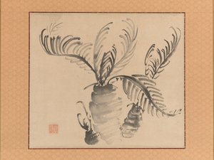 Cycad, połowa XVIII wieku.